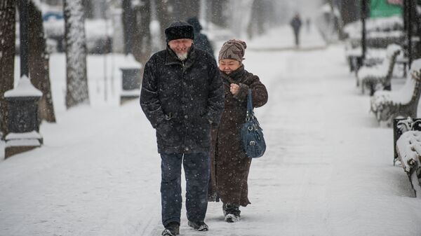 Снегопад в Бишкеке. Архивное фото - Sputnik Кыргызстан