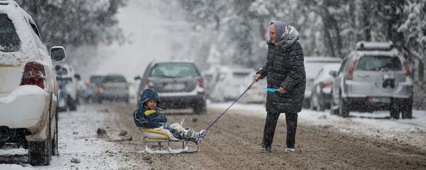 Первый снегопад в Бишкеке в 2021 году - Sputnik Кыргызстан