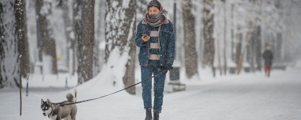 Жаңырган жылдын алгачкы кары. Тазара түшкөн Бишкектин 13 сүрөтү - Sputnik Кыргызстан