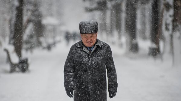Первый снегопад в Бишкеке в 2021 году - Sputnik Кыргызстан