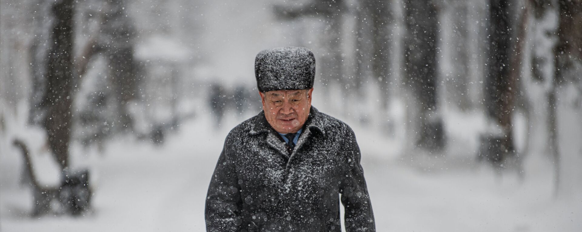 Первый снегопад в Бишкеке в 2021 году - Sputnik Кыргызстан, 1920, 13.12.2021