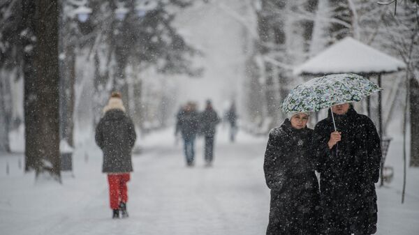 Люди идут во время снегопада в Бишкеке. Архивное фото - Sputnik Кыргызстан