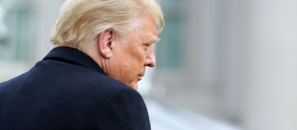 Президент США Дональд Трамп. Архивное фото - Sputnik Кыргызстан