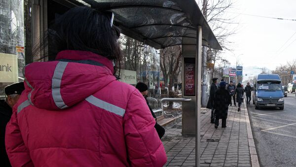 Ситуация с общественным транспортом в Бишкеке - Sputnik Кыргызстан