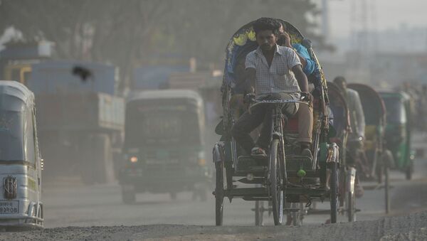 Рикша едет по дороге в условиях сильного смога в Дакке (Бангладеш). Архивное фото - Sputnik Кыргызстан