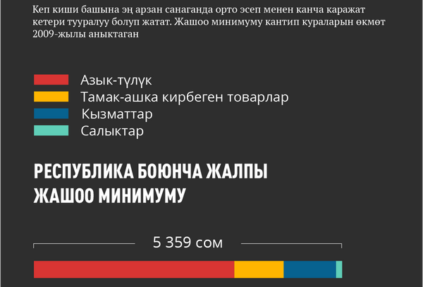 Кыргызстанда 2020-жылдагы жашоо минимуму - Sputnik Кыргызстан