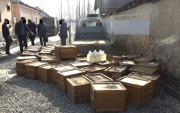 В Оше выявили крупную партию вещества, предназначенного для изготовления наркотиков - Sputnik Кыргызстан