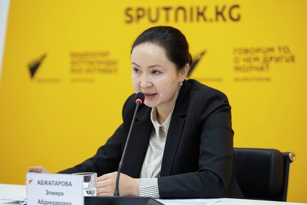 Подача заявки на получение госипотеки занимает полчаса — глава ГИК Подача заявки на получение госипотеки занимает полчаса — глава ГИК - Sputnik Кыргызстан