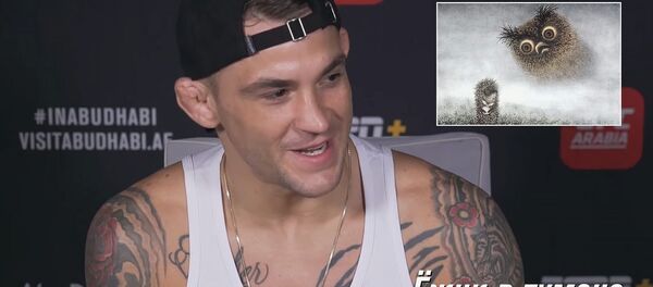 Противник Макгрегора угадывает советские мультики по описанию — смешное видео - Sputnik Кыргызстан