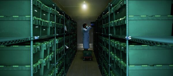 Сотрудник лаборатории забирает тестовые образцы Covid-19 из замороженного хранилища - Sputnik Кыргызстан