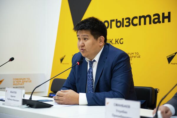 Собирать кипу справок будет необязательно — мэрия Бишкека запускает спецпортал - Sputnik Кыргызстан