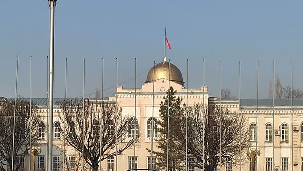 Маданият министрлигинин имаратындагы желеги - Sputnik Кыргызстан