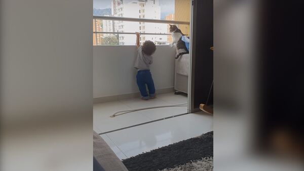 Кошка не позволяет ребенку залезть на перила балкона — вирусное видео - Sputnik Кыргызстан