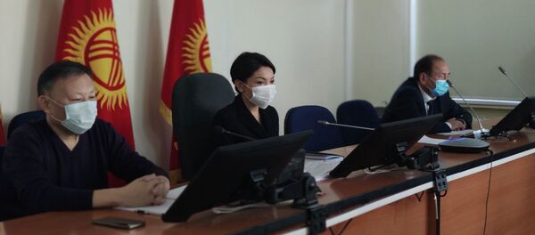 Вице-премьердин милдетин аткаруучу Эльвира Сурабалдиева  - Sputnik Кыргызстан