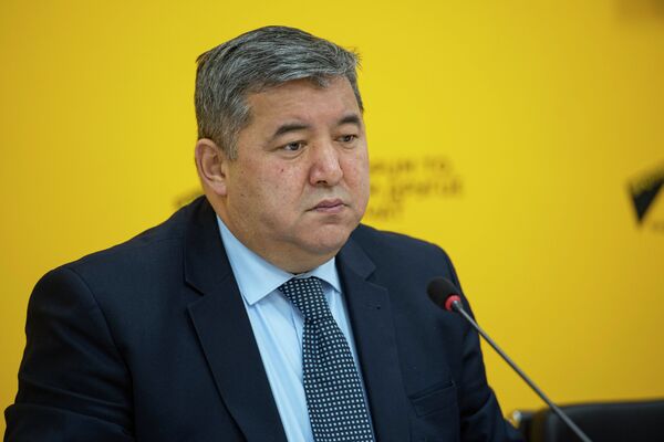 Заместитель министра сельского хозяйства, пищевой промышленности и мелиорации Жаныбек Керималиев - Sputnik Кыргызстан