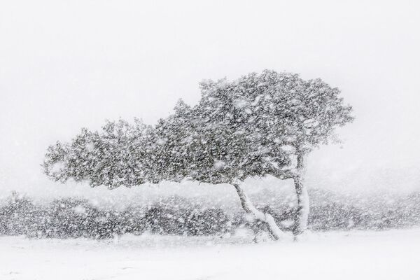 Снимок итальянского фотографа Alessandro Carboni, победившего в категории Landscapes & Earth Elements конкурса 2020 Travel Photographer of the Year  - Sputnik Кыргызстан