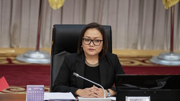 Вице-спикер Жогорку Кенеша Аида Касымалиева - Sputnik Кыргызстан