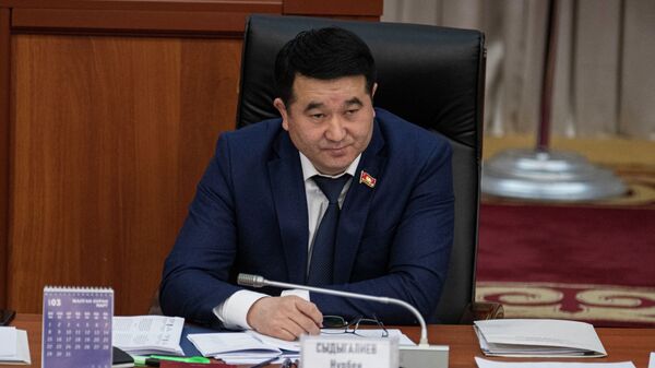 Жогорку Кеңештин вице-спикери Нурбек Сыдыгалиев  - Sputnik Кыргызстан