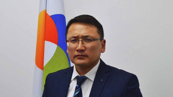 Председатель правления Национального энергохолдинга Бакыт Сыдыков - Sputnik Кыргызстан