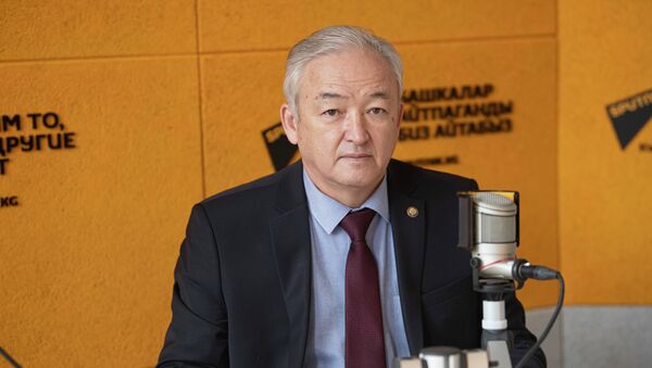 Саламаттык сактоо министрлигинин башкы урологу, профессор Акылбек Усупбаев. Архив - Sputnik Кыргызстан