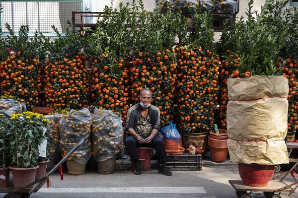 Праздничная торговля на цветочном рынке во время подготовки к предстоящему Китайскому Новому году в Гонконге - Sputnik Кыргызстан