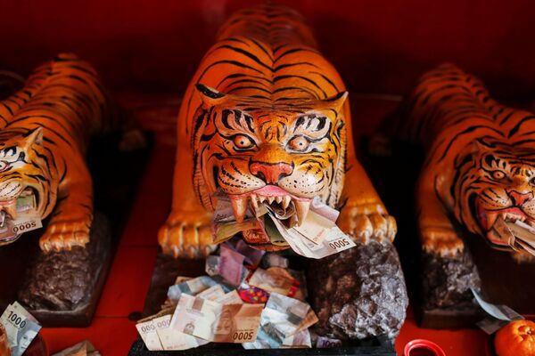 Банкноты у скульптур тигров в храме Дхарма Бхакти во время празднования Нового года по лунному календарю в Джакарте, Индонезия - Sputnik Кыргызстан