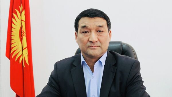 Финчалгындоонун башчысы Канатбек Тургунбеков - Sputnik Кыргызстан