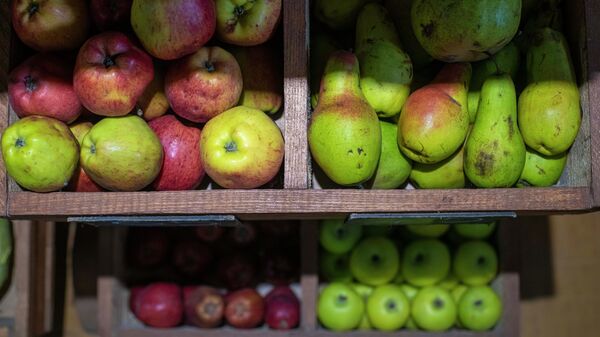 Яблоки и груши. Архивное фото - Sputnik Кыргызстан