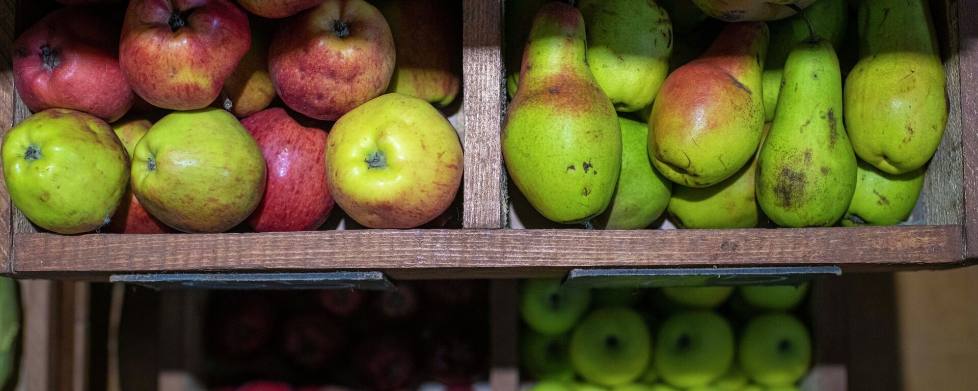 Яблоки и груши. Архивное фото - Sputnik Кыргызстан, 1920, 07.08.2025