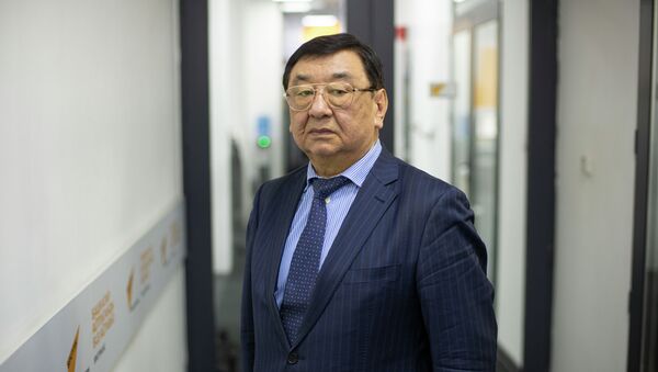 Главный ученый секретарь президиума НАН, доктор юридических наук, профессор Чолпонкул Арабаев  - Sputnik Кыргызстан