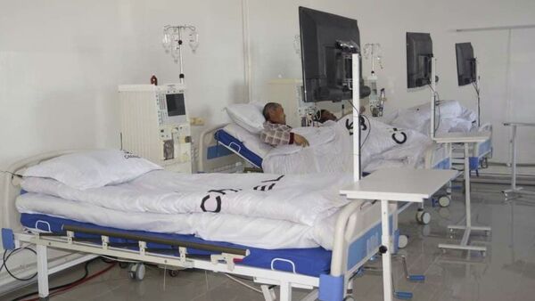Нарын облусундагы Ат-Башы районунун борборуна жеке менчик гемодиализ клиникасы ачылды - Sputnik Кыргызстан