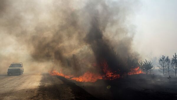 Пожар в поле. Архивное фото - Sputnik Кыргызстан