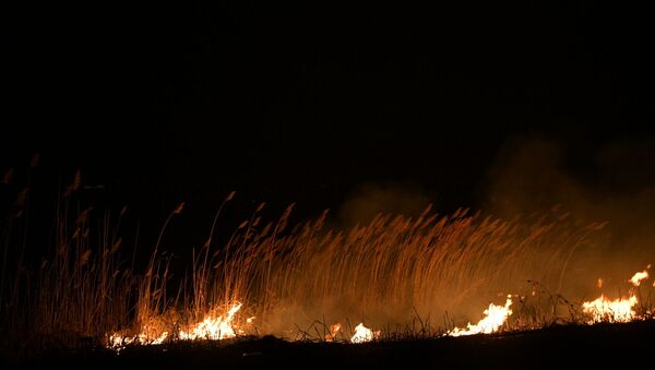 Пожар на поле возле Токмока  - Sputnik Кыргызстан
