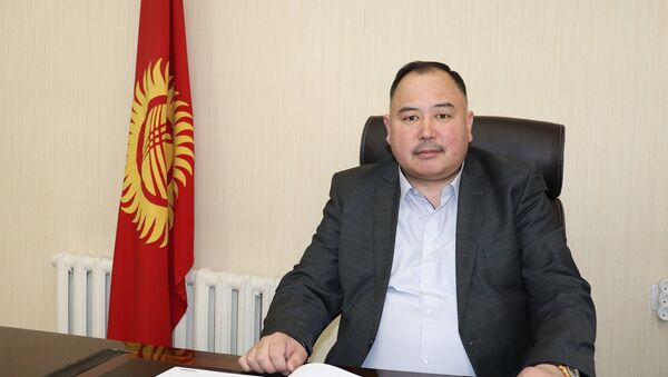 Новый глава Дирекции по управлению фондом развития Иссык-Кульской области Самат Медеров - Sputnik Кыргызстан