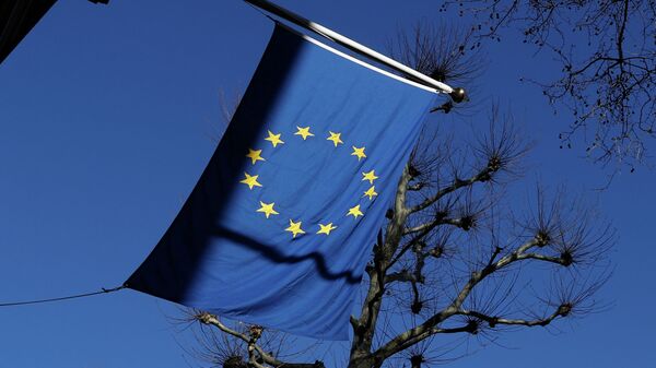 Флаг Европейского Союза. Архивное фото - Sputnik Кыргызстан
