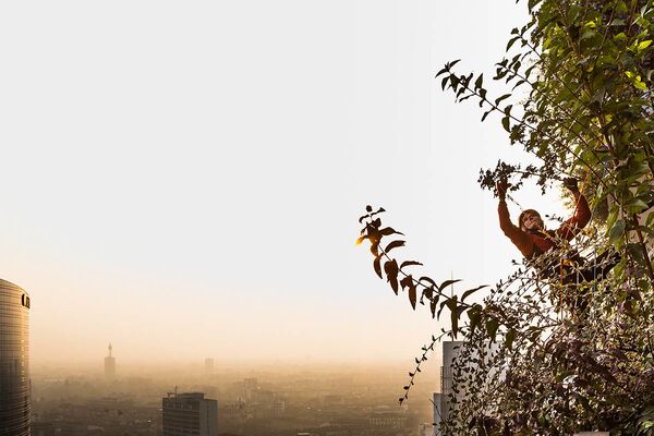 Снимок A Game of Subtle Balances итальянского фотографа Matteo Carassale, ставший финалистом в категории Plants & Planet конкурса The International Garden Photographer of the Year Competition-14 - Sputnik Кыргызстан