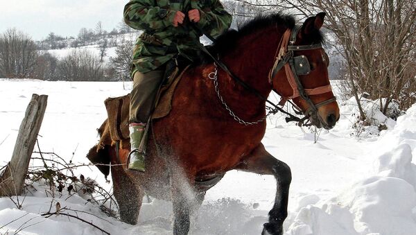 Мужчина едет на лошади по снегу. Архивное фото - Sputnik Кыргызстан