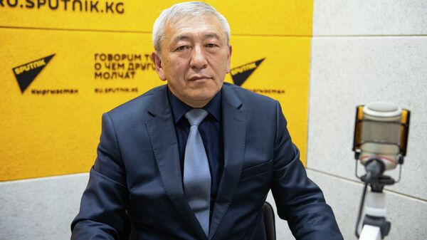 Президент Национальной академии наук КР Мурат Джуматаев. Архивное фото - Sputnik Кыргызстан