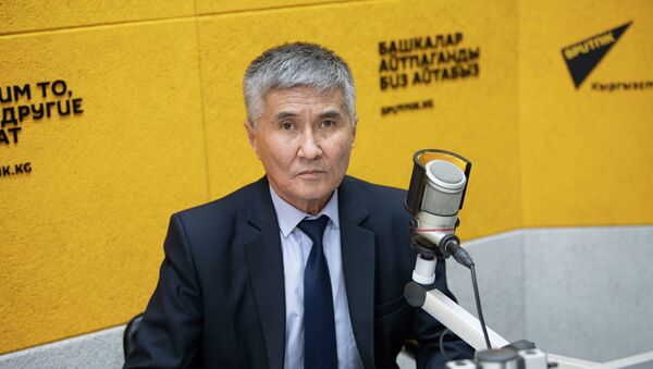 Главный специалист отдела школьного и дополнительного образования Бакытбек Рысбеков - Sputnik Кыргызстан