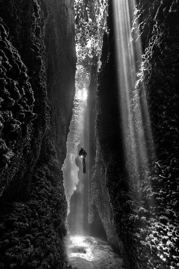 Снимок The Cut австралийского фотографа Diana Fernie, победивший в категории Black and White конкурса The Underwater Photographer of the Year 2021 - Sputnik Кыргызстан