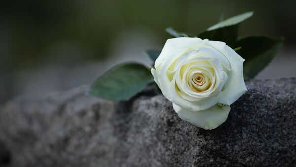 Роза на надгробии на кладбище - Sputnik Кыргызстан