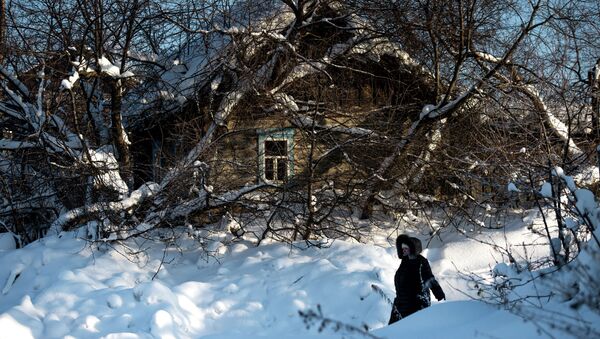 Зима в Омской области - Sputnik Кыргызстан