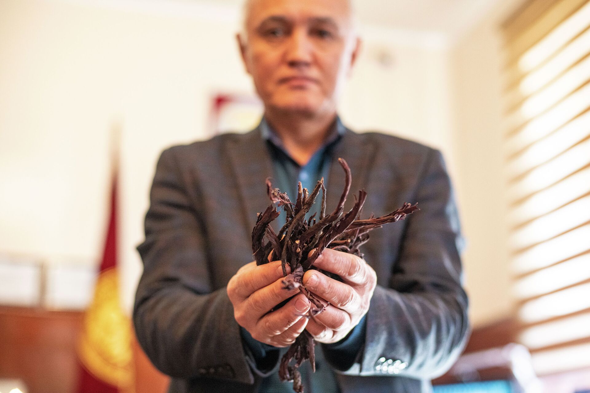 Эти травы скупают за копейки в Кыргызстане и продают за большие деньги — ученый - Sputnik Кыргызстан, 1920, 28.02.2021