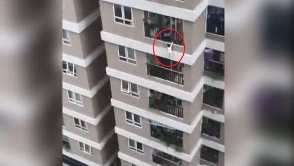 Страшно смотреть! Курьер поймал выпавшую с 12-го этажа девочку — видео - Sputnik Кыргызстан
