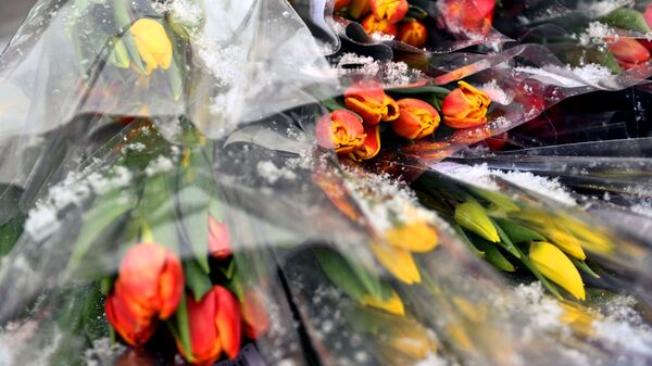 Букеты тюльпанов под снегопадом. Архивное фото  - Sputnik Кыргызстан
