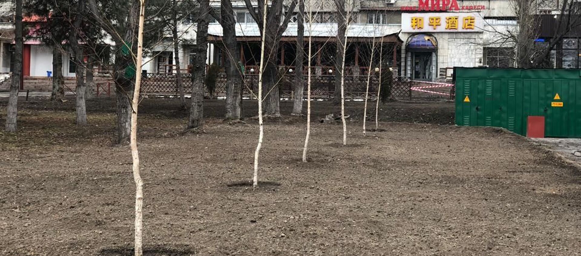 В Бишкеке возле торгового центра Red Centre появится зеленая зона вместо парковки - Sputnik Кыргызстан, 1920, 09.03.2021