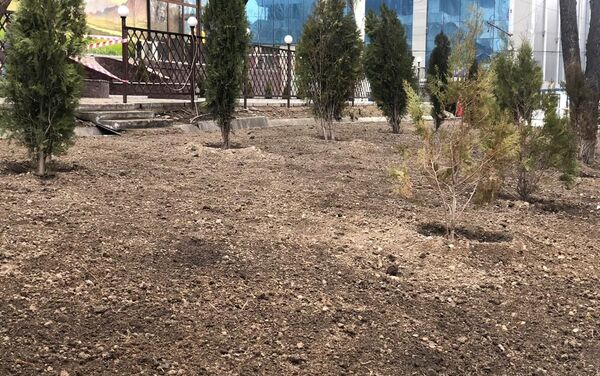 В Бишкеке возле торгового центра Red Centre появится зеленая зона вместо парковки - Sputnik Кыргызстан