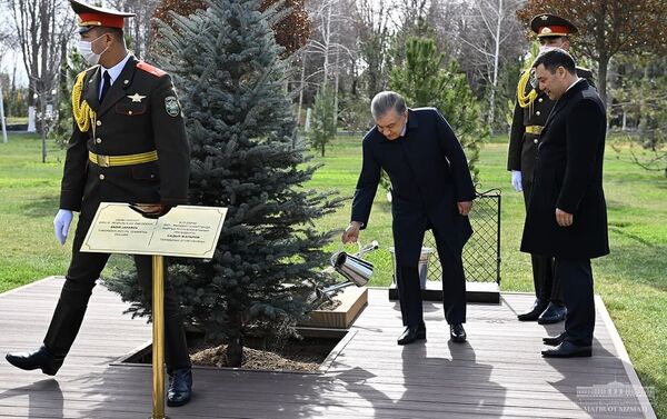 Президенты Кыргызстана и Узбекистана Садыр Жапаров Шавкат Мирзиёев посадили дерево в резиденции Куксарой в Ташкенте - Sputnik Кыргызстан