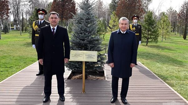 Президент Садыр Жапаров менен Шавкат Мирзиёев бак тигишти - Sputnik Кыргызстан