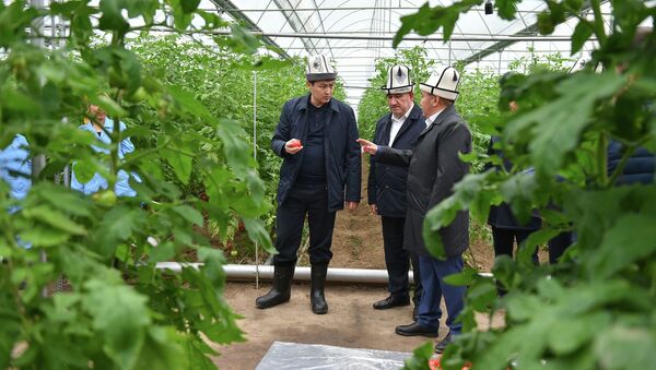 Премьер-министр Улукбек Марипов на встрече с фермерами Араванского района Ошской области - Sputnik Кыргызстан